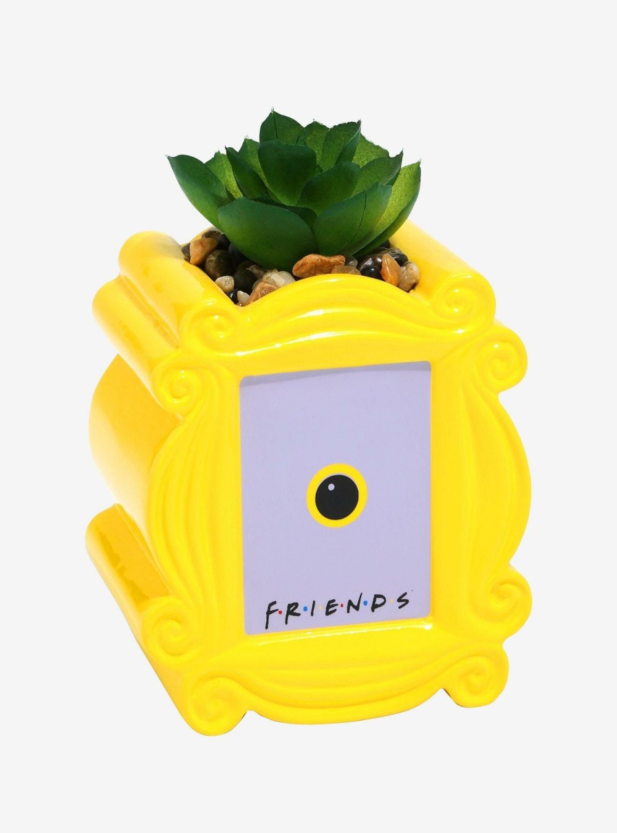 Decor * | Friends Peephole Frame Faux Succulent Planter Sale Online